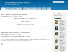 Tablet Screenshot of funnz.org.nz